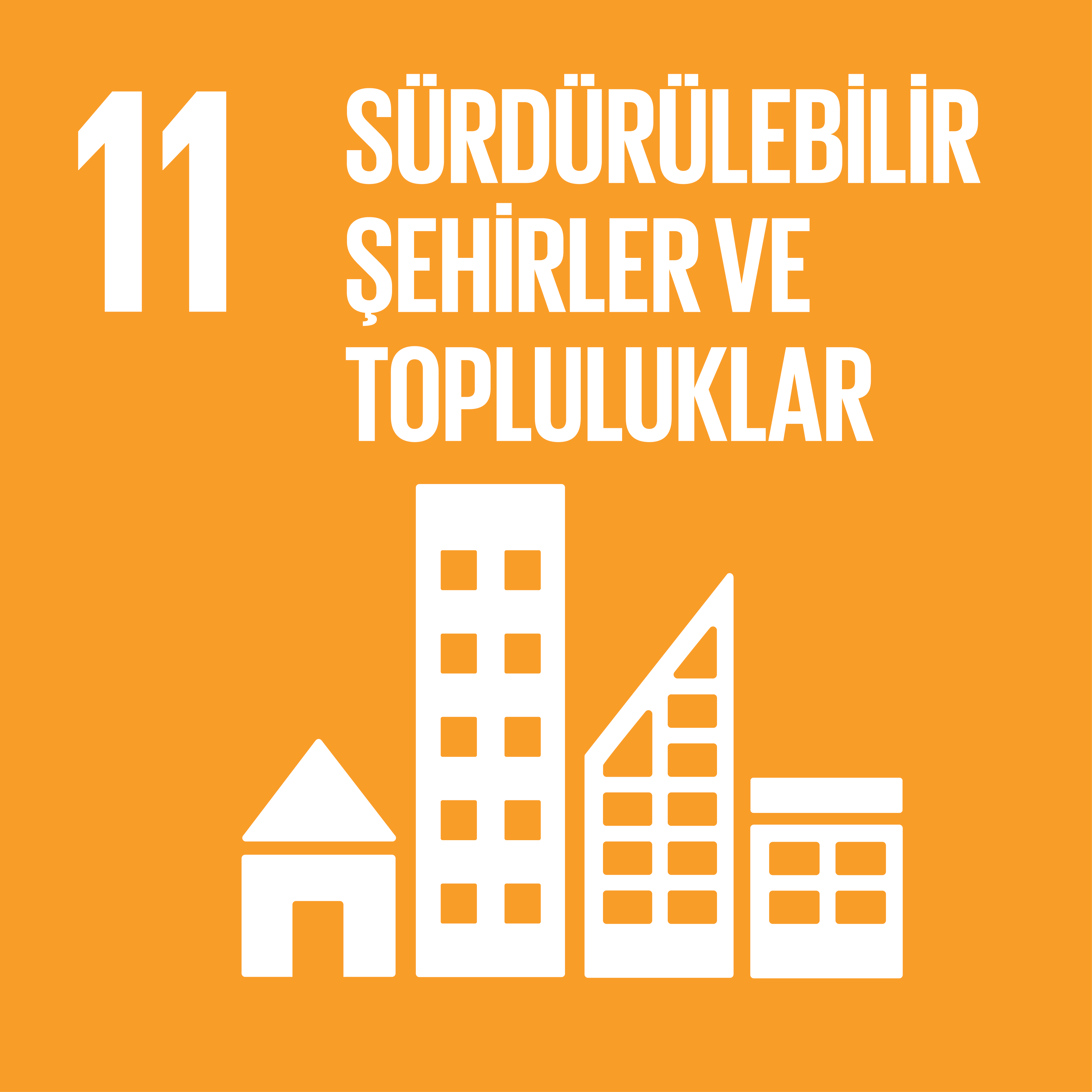 SDG11