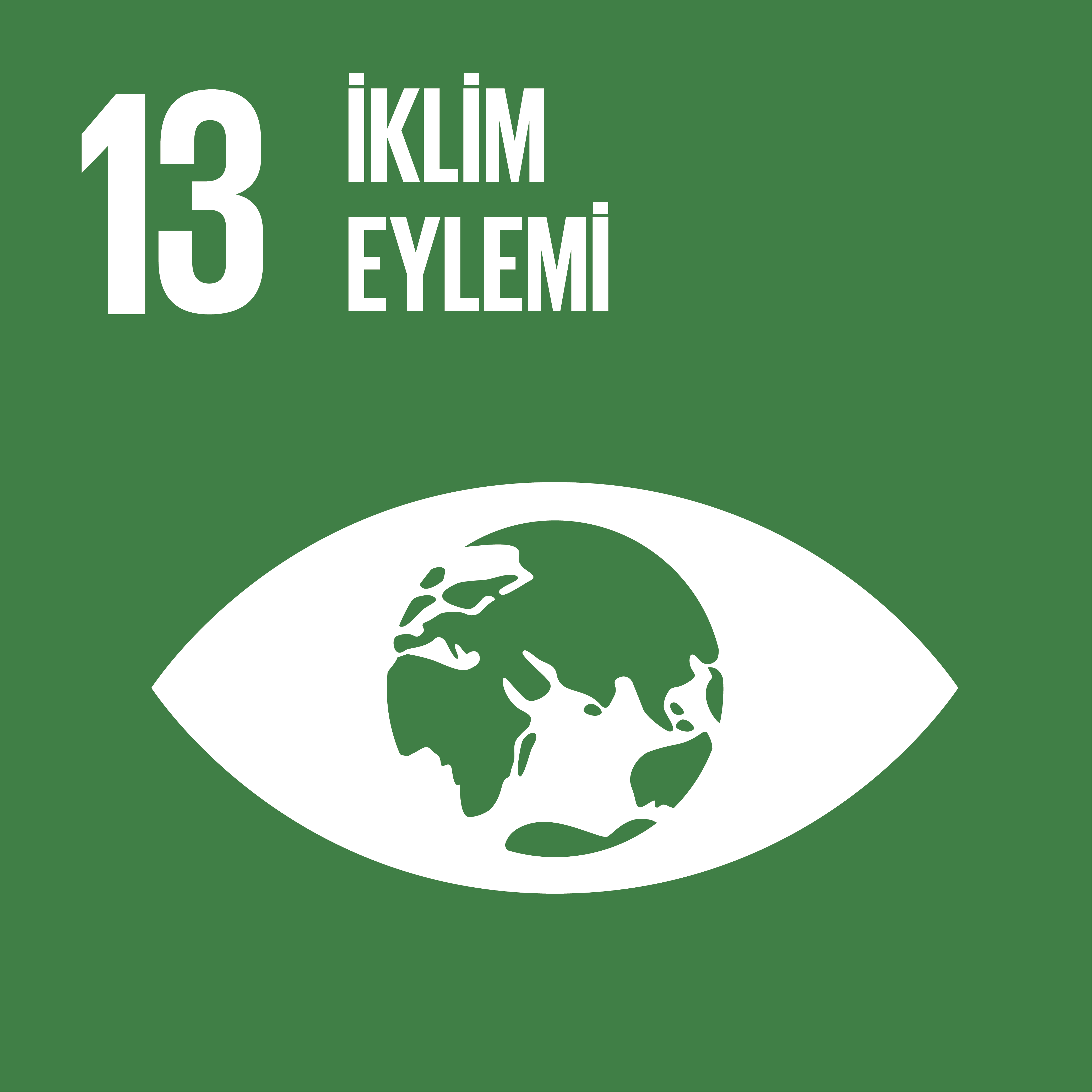 SDG13